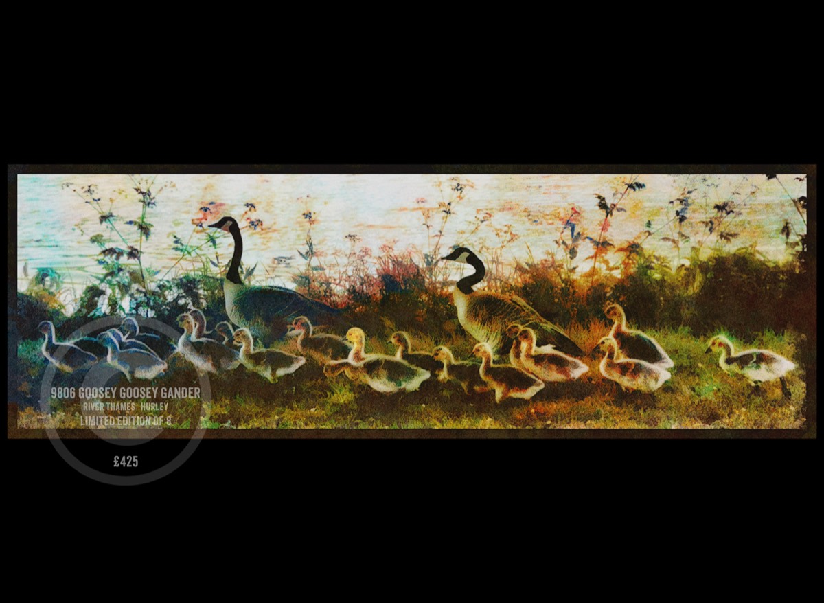 580mm x 197mm