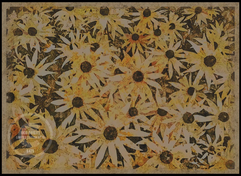 552mm x 400mm
