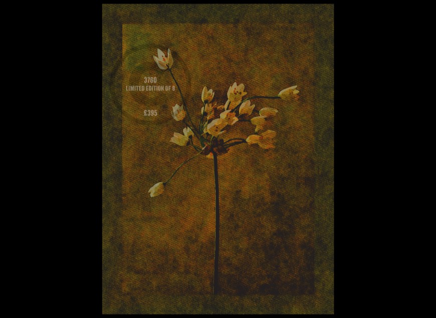 400mm x 537mm